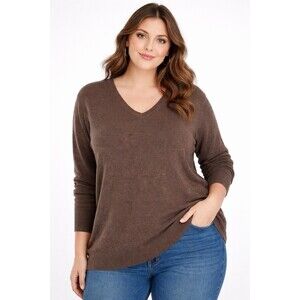 Mossimo Womens Regular Sweater Long Sleeve V-Neck Size XXL Brown Fall Minimalist